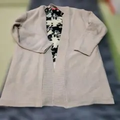 Item thumbnail for item c5012867-66b9-40a7-8930-109be936ef11