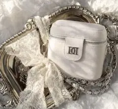 darich ダーリッチ キャビアスキンレザーミニポーチ　ダーリッチノベルティー