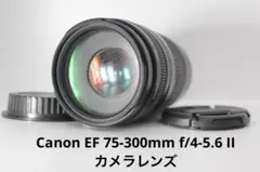 Item thumbnail for item 222a4a51-b795-45c6-a9ba-95f755bb6a40