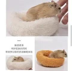 Item thumbnail for item 3f15ebcf-74ed-46ef-8a3c-290698948cfc