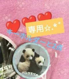 ハナミ様 リクエスト 2点 まとめ商品