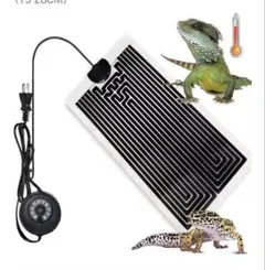 Item thumbnail for item 6fb90ace-a84d-4811-831d-5e15594c5282