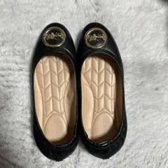 Item thumbnail for item f2f098e1-ce4f-4302-83b4-3a7ba0db9023