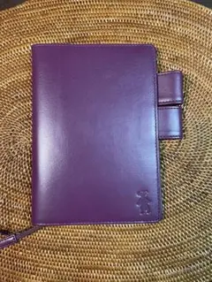 Item thumbnail for item b439c3b9-96ae-4e7f-83f1-fdcb46468d97