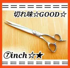 Item thumbnail for item 8c0b0401-c305-4665-bc3f-e39869e3ce07