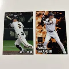 Item thumbnail for item 340c8bb7-5d1d-4047-9a06-0ddb83472805