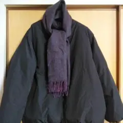 Item thumbnail for item 7d9c372c-f307-4fbf-97d5-af05df88f0c1