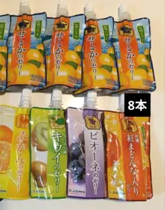 JAえひめ中央 愛媛の果実 飲むゼリー10本 紅プリンセス。ピオーネ