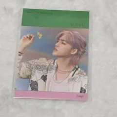 seventeen sector17 ステッカー　エスクプス