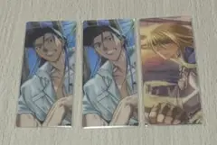 FGO 最終再臨展 編成画面風カード 水着 クーフーリン 2枚 フィン セット