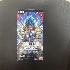 2026年最新】DUAL EVOLUTION（FB09）の人気アイテム - メルカリ