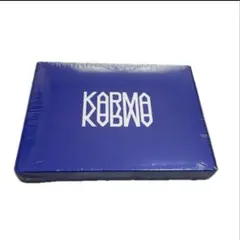 Stray Kids KARMA CEREMONY VER