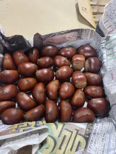 goemon様 リクエスト 2点 まとめ商品