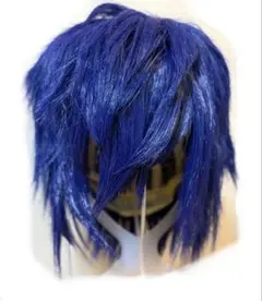 【説明欄必読！】漣ジュン コスプレ ウィッグ