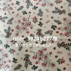 user_3924b277様確認用