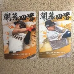2025年カルビー プロ野球チップスカード 2枚セット岡本和真 山川穂高