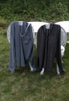 2025年最新】柿乃葉の人気アイテム - メルカリ