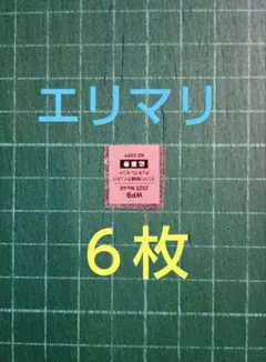 ６枚　応募券　プレイボーイ40号　エリマリ姉妹　直筆サイン入りチェキ　抽プレ