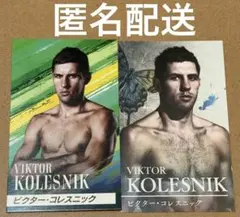 ビクターコレスニック PPVカード RIZIN