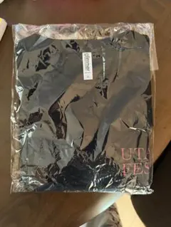 Item thumbnail for item 92f3c51d-45dd-4077-b1ec-8e20892ec27b