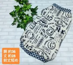 Item thumbnail for item 2c2b997a-1e2e-48bd-9262-b78463c179fd