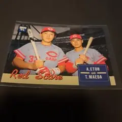 【広島東洋カープ】江藤智　♯33 NPBマーク　公式バット　直筆サイン入り 広島東洋カープ】江藤智 ♯33 NPBマーク 公式バット 直筆サイン入り