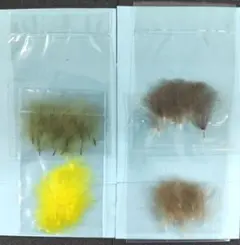 Item thumbnail for item e3e1caf7-8379-418a-b681-4362f1cce0ab