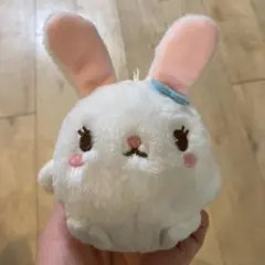 うさぎ ぬいぐるみ