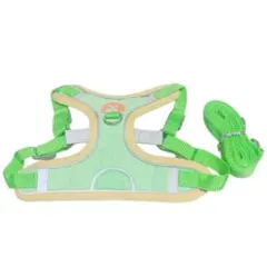 Item thumbnail for item 69193222-c4c2-4419-93cd-80d26a35a522