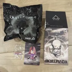 SKULLPANDA IMAGE OF REALITY The Paradox