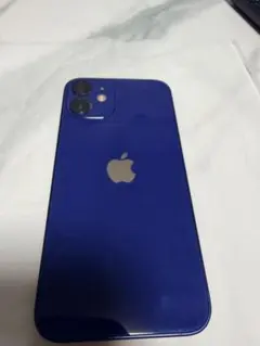 iPhone12 mini ブルー　本体　256GB ※FaceID使用不可