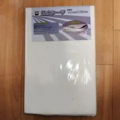 Item thumbnail for item 0e2ff1cb-a278-4063-b28a-1e65574579b4