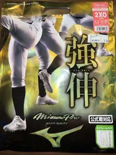 Item thumbnail for item 1fb902b1-0b9e-4624-ae17-d60245c2c970