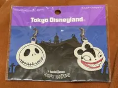 【ディズニー】ナイトメアー・ビフォア・クリスマス　ファスナーアクセサリー