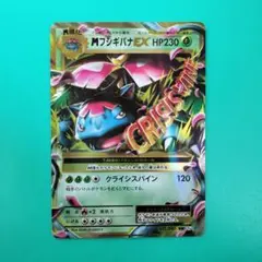 2025年最新】フシギバナex 20thの人気アイテム - メルカリ