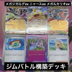 ポケモンカード　デッキ　メガジガルデex　メガルカリオex