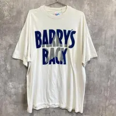 Hanes ヘインズ ヴィンテージ 90s 白 半袖 Tシャツ XL(LL)