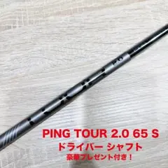 2026年最新】ping tour 2.0 chrome 65 sの人気アイテム - メルカリ