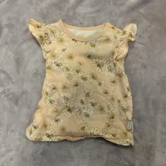 Item thumbnail for item a8290693-adbb-459e-bc8b-fba7f0e44827