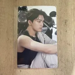 Face The Sun ディノ トレカ