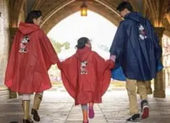 東京ディズニーリゾート　レインポンチョ　ミニーマウス　Lサイズ　赤のサムネイル
