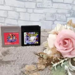 【ゲームボーイソフトセット】ポケモン 赤＋ポケモンカードGB