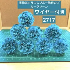 ソラフラワー　2717