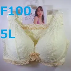 【F100/5L】ブラ・ショーツセット★2点以上で各200円引★60410041