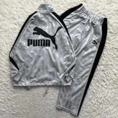 PUMA 長袖　ジャージ　セットアップ　上下　ビッグロ　日本製　洗える