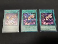 遊戯王 黒魔導のカーテン 3枚セット - メルカリ