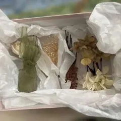 Item thumbnail for item 69e279e3-b162-4722-beff-657a8d57f542