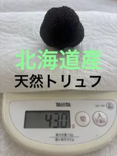 八ヶ岳産 天然 トリュフ (イボセイヨウショウロ) 100ｇ 2025年最新】イボセイヨウショウロの人気アイテム - メルカリ