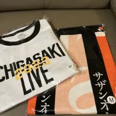 2025年最新】サザン 法被の人気アイテム - メルカリ