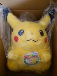 ポケモン30周年記念おかえり!ピカチュウ1/1